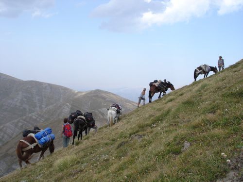 trekking con i muli-4.jpg